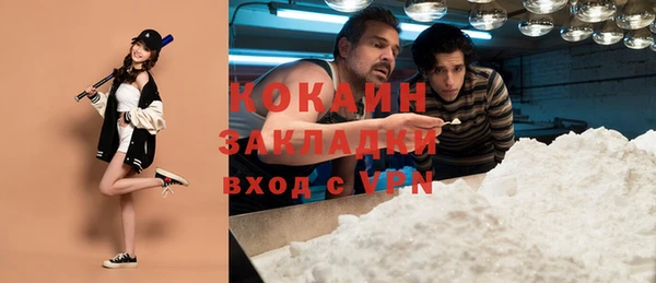 стаф Коряжма