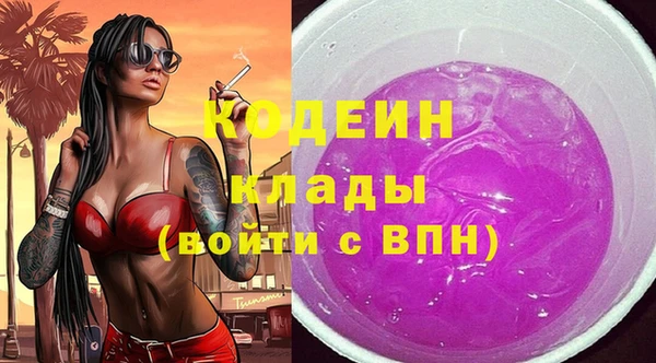 прущий лед Корсаков