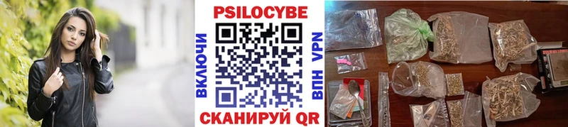 Купить  Губаха  Галлюциногенные грибы мицелий 